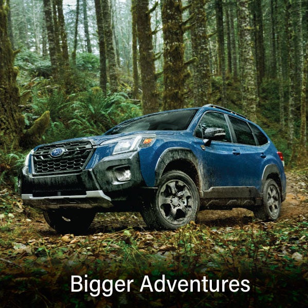 A blue Subaru outback wilderness with the words “Bigger Adventures“. | LaFontaine Subaru in Commerce Township MI