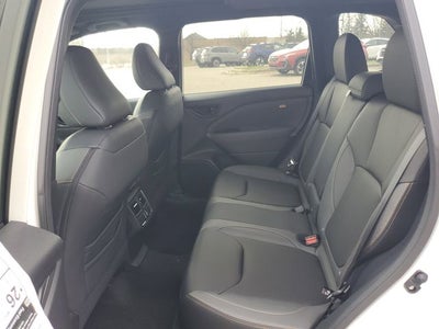 2026 Subaru FORESTER Wilderness