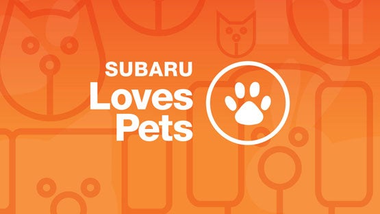 LaFontaine Subaru in Commerce Township MI