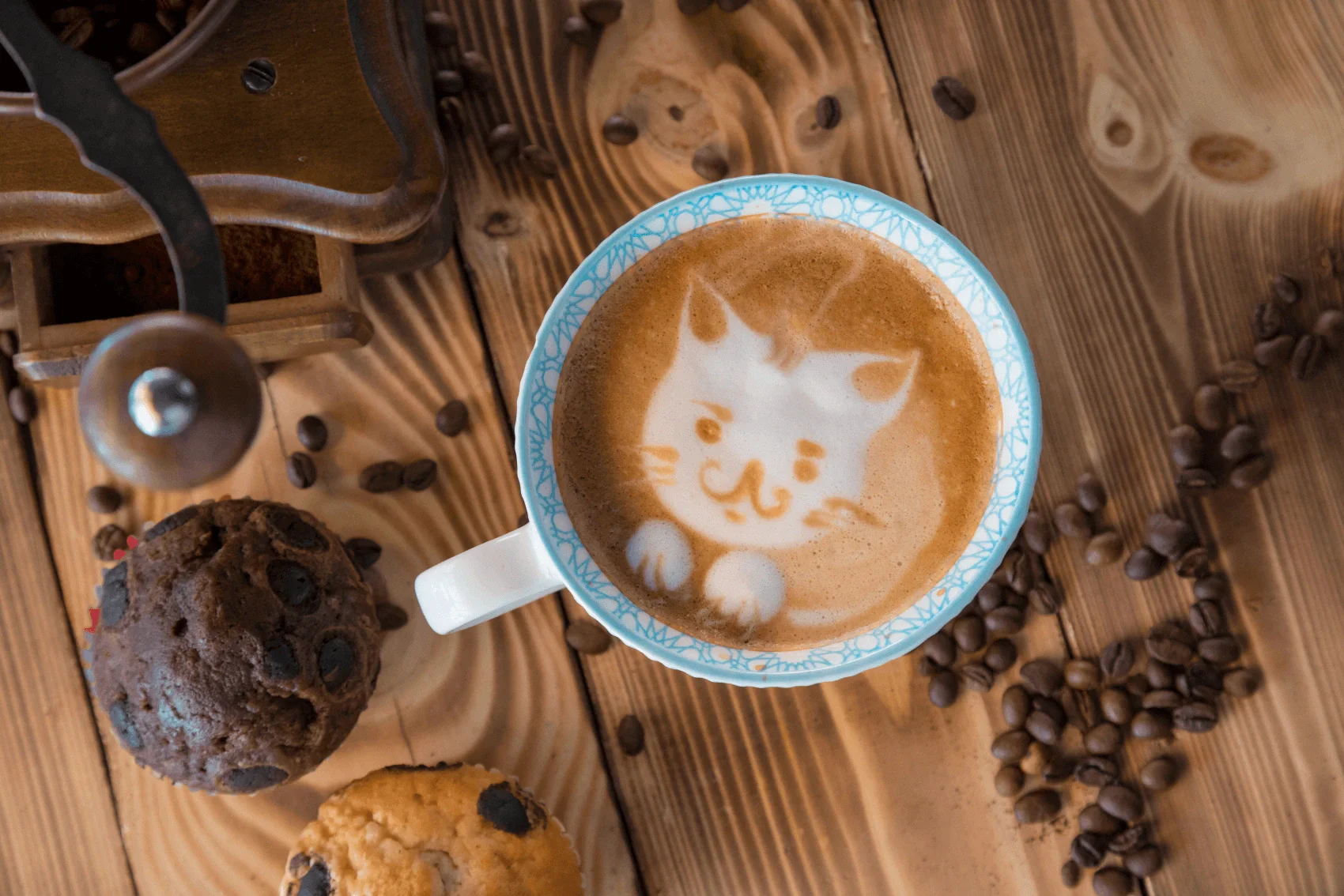 Used Car Dealer near Ferndale MI